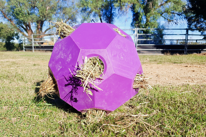 Parallax Hay Play Ball- Purple