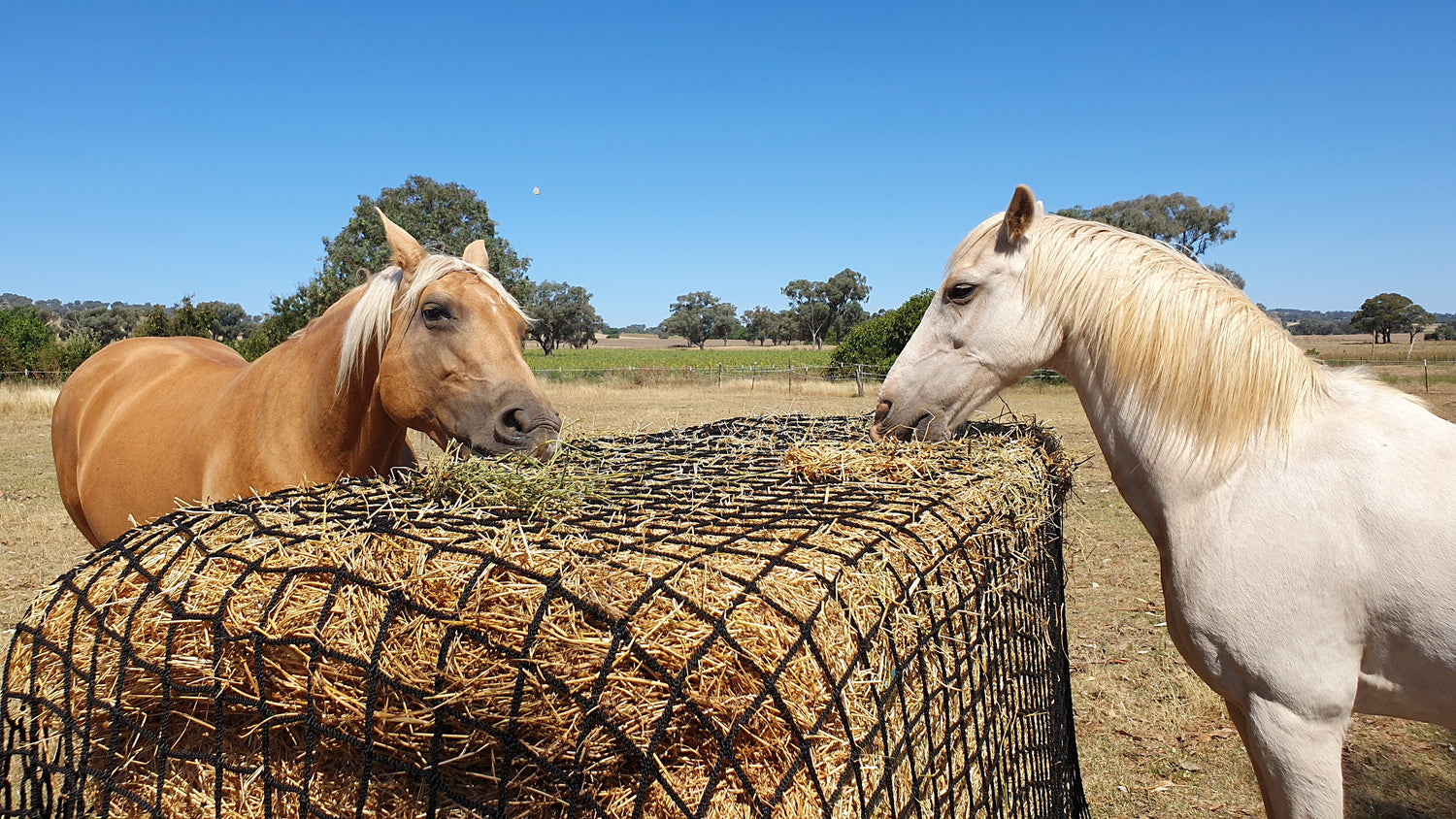 Website Banner- Large Bale