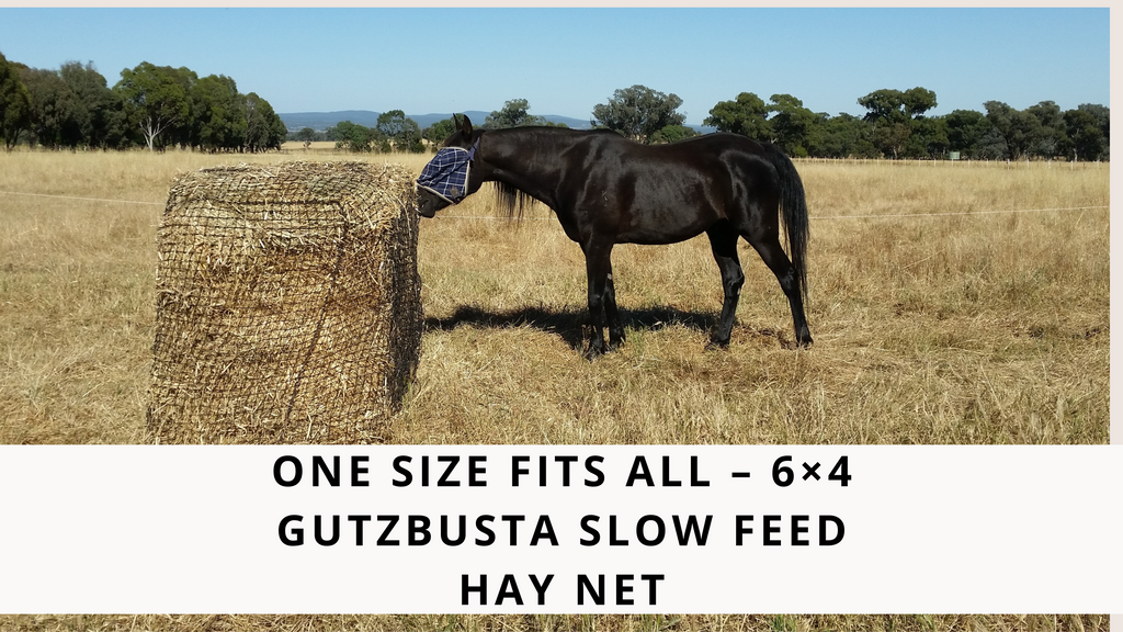 One size fits all 6 4 GutzBusta Slow Feed Hay Net GutzBusta Slow Feed Hay Nets