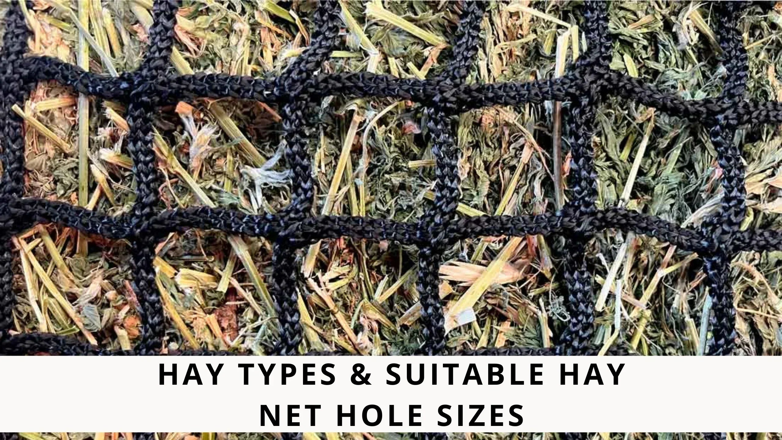 Hay Net Pattern Hay types & suitable hay net hole sizes – GutzBusta® Slow Feed Hay Nets