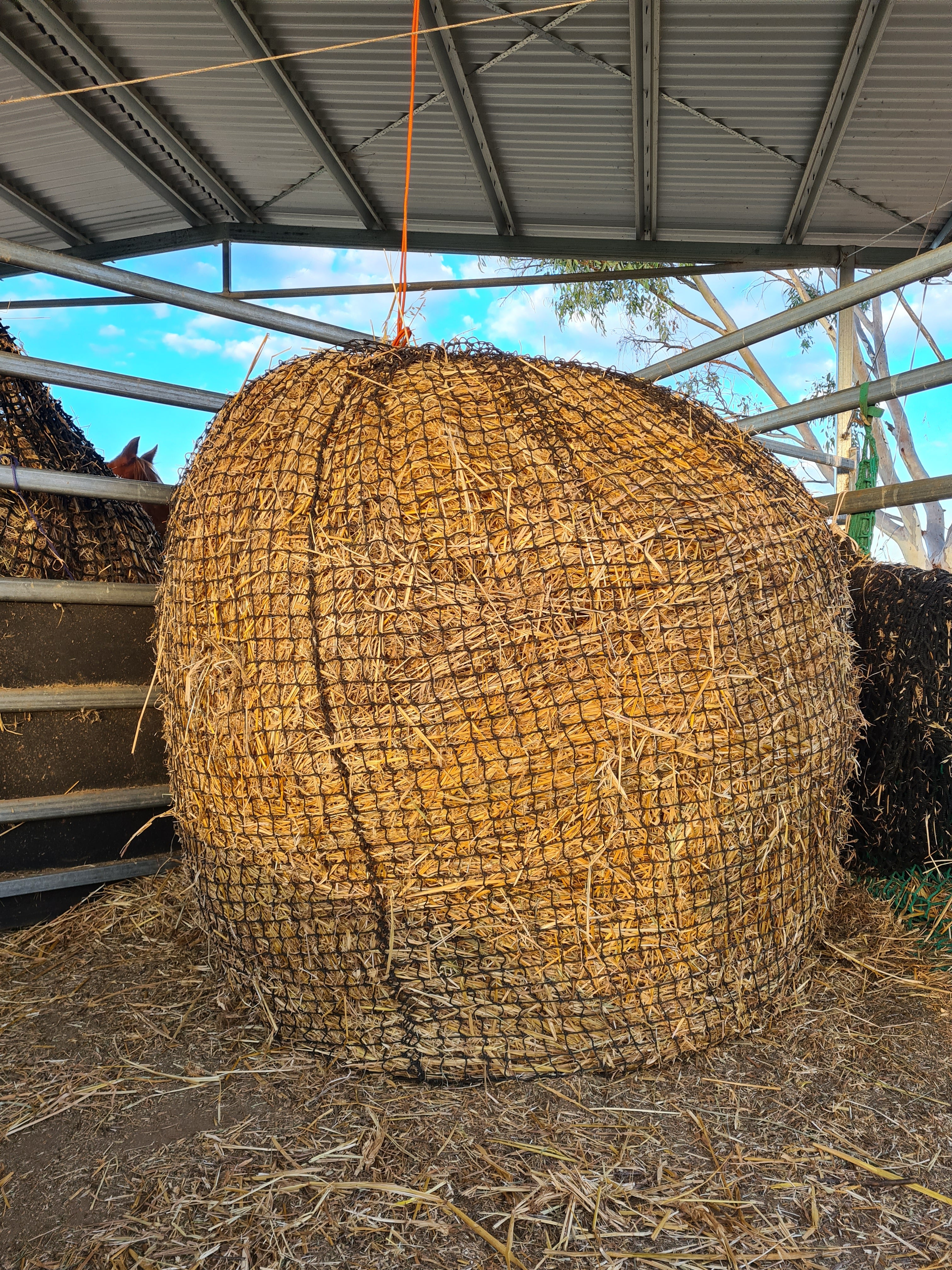 Knotted Round Bales – GutzBusta® Slow Feed Hay Nets