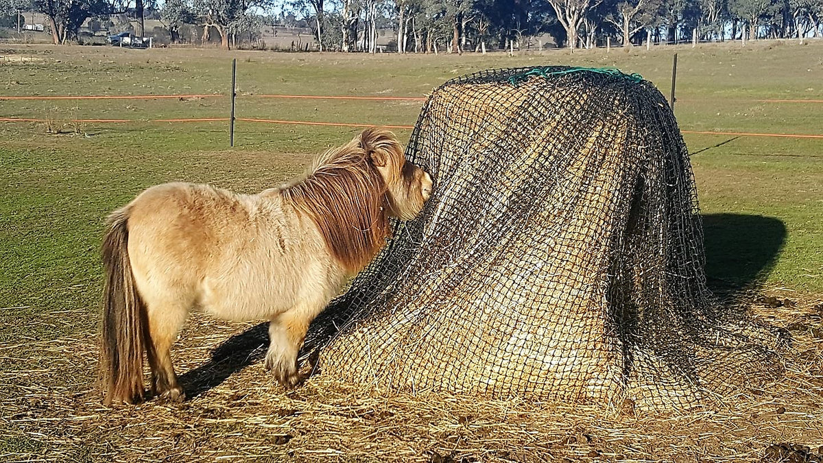 Knotted Hay Nets - 6'x4' Round Bale