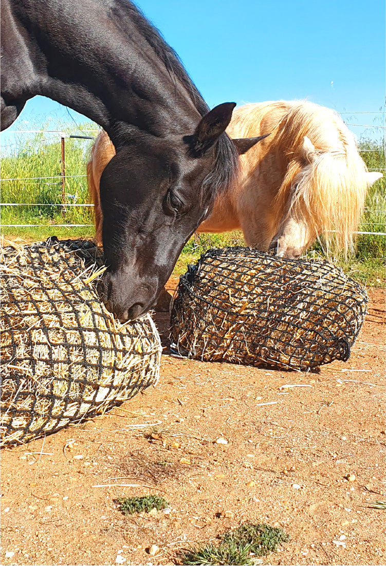 Gutzbusta Slow Feed Hay Horse Nets GutzBusta Slow Feed Hay Nets