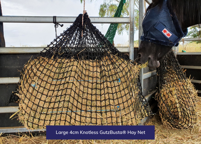 GutzBusta Knotless Hay Nets - Large- 4cm