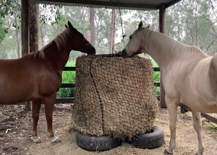 GutzBusta Knotted Hay Nets - 3'x4' Round Bale