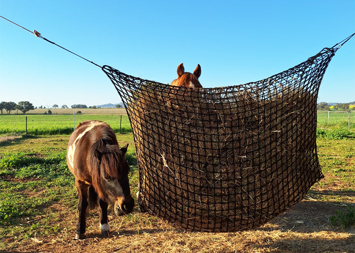 Hay Net Hay-Stay Hanging Knotless Hay Net – GutzBusta® Slow Feed Hay Nets