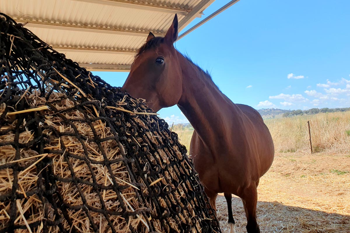 Knotless Hay Nets - 3'x4' Round Bale