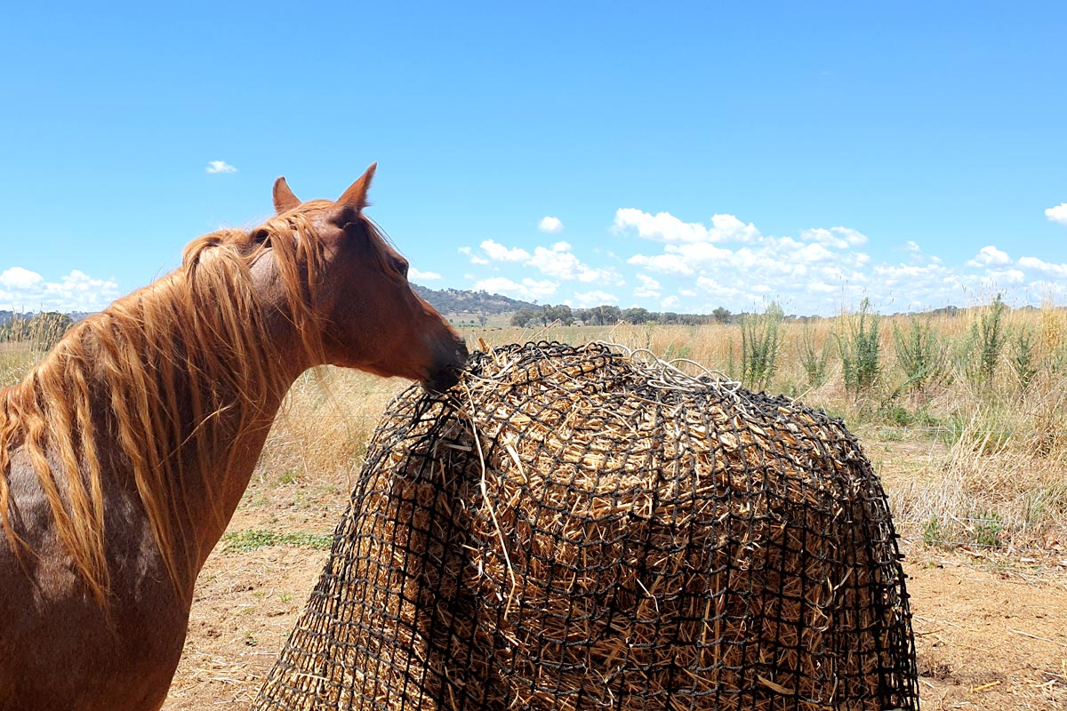 Knotless Hay Nets - 6'x4' Round Bale