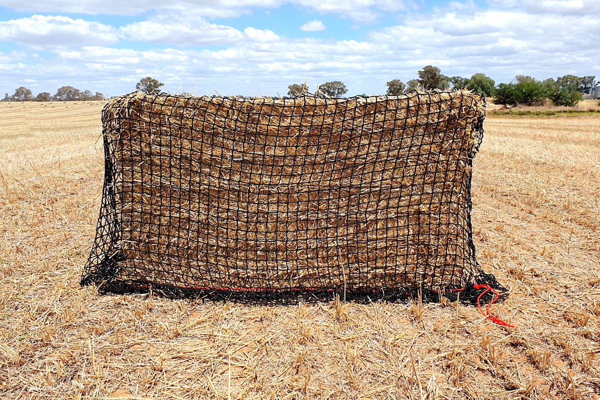 Knotless - Large Square - 8x3x3 & 8x4x3