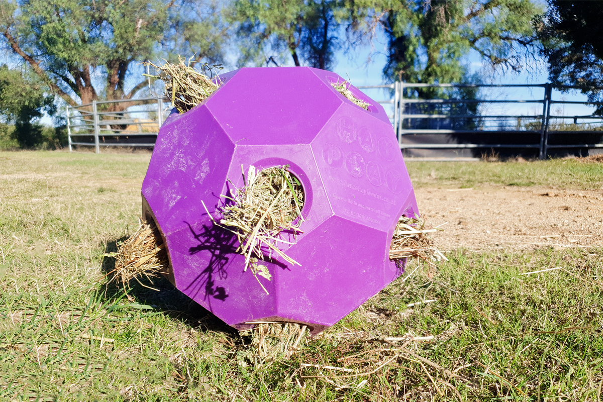 Hay Play Balls – GutzBusta® Slow Feed Hay Nets