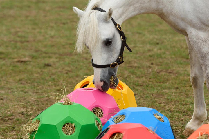 Parallax Hay Play Balls