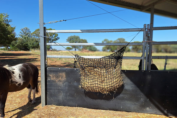 Junior Hay-Stay Hanging Knotless Hay Net