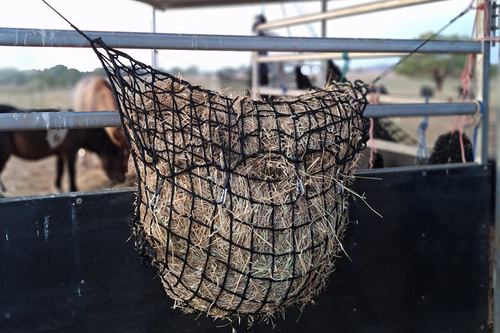 Hay Pay Junior Hay-Stay Hanging Knotless Hay Net – GutzBusta® Slow Feed Hay Nets