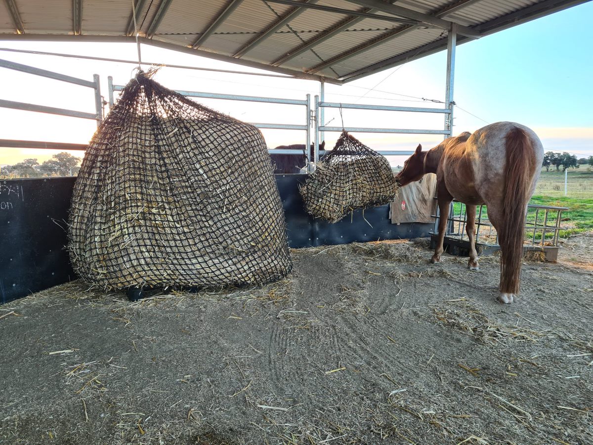 Knotless Hay Nets - 3'x4' Round Bale – GutzBusta® Slow Feed Hay Nets