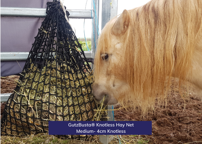 Knotless Hay Nets - Medium- 4cm