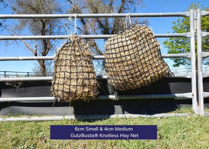 Knotless Hay Nets - Medium- 6 and 4cm