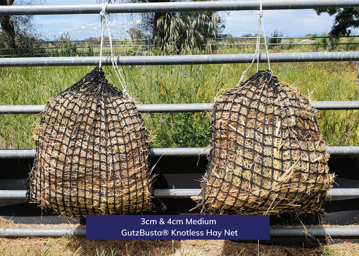 Knotless Hay Nets - Medium- 3 and 4cm