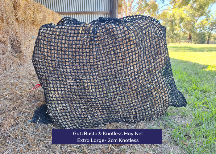 Hay Net Knotless Hay Nets - Extra Large – GutzBusta® Slow Feed Hay Nets