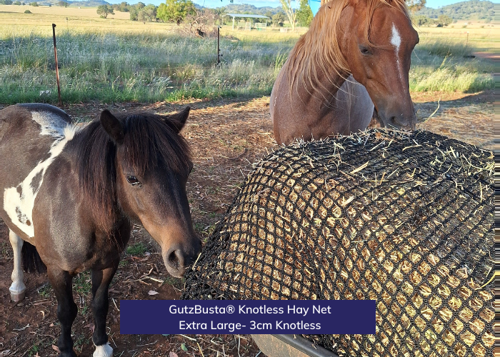 Knotless Hay Nets - Extra Large – GutzBusta® Slow Feed Hay Nets