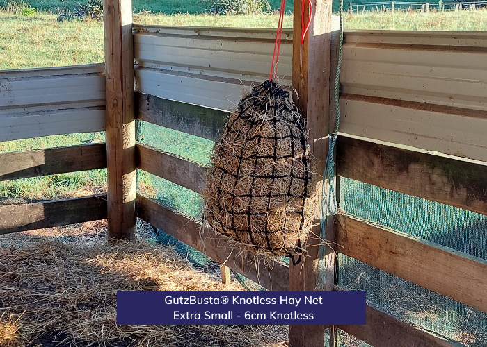 Knotless Hay Nets - Extra Small-6cm