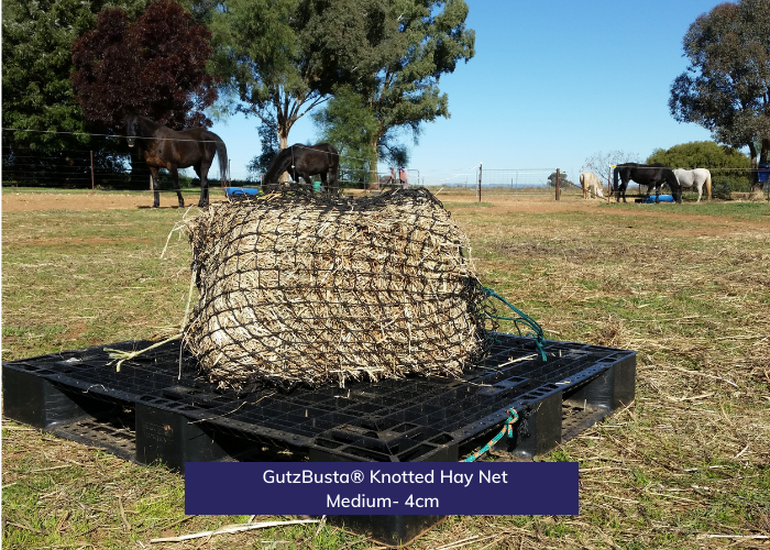 GutzBusta® Knotted Hay Nets - Medium -4cm