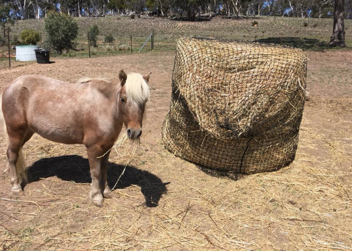 GutzBusta Knotted Hay Nets - 5'x4' Round Bale