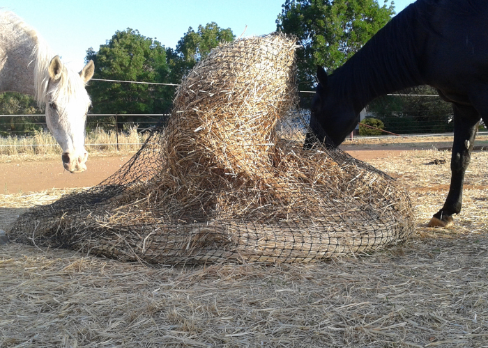 GutzBusta Knotted Hay Nets - 6'x4' Round Bale