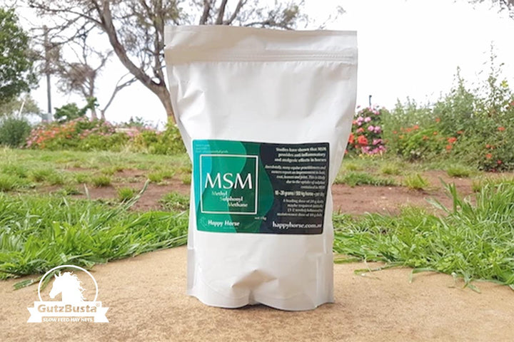 MSM - Methyl Sulphonyl Methane - 1kg