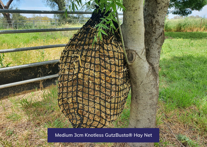 Knotless Hay Nets - Medium- 3CM