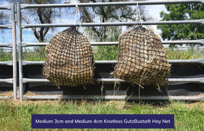 Knotless Hay Nets - Medium - 3 and 4cm