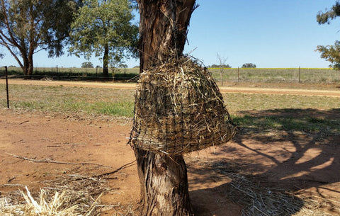 Knotted Hay Nets - Small