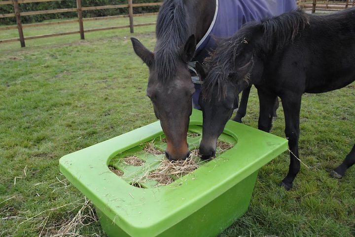 PARALLAX THE HAY SAVER with horses eating