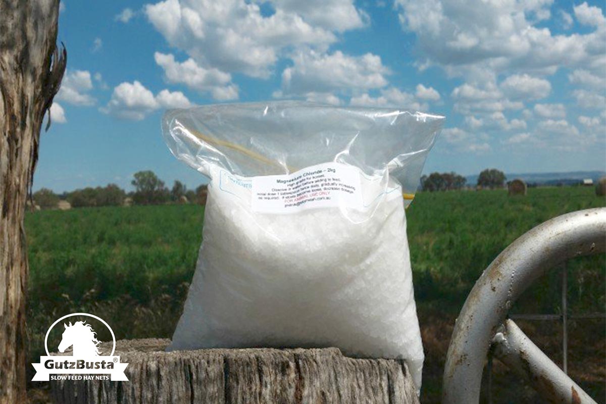 Tibetan Magnesium Chloride