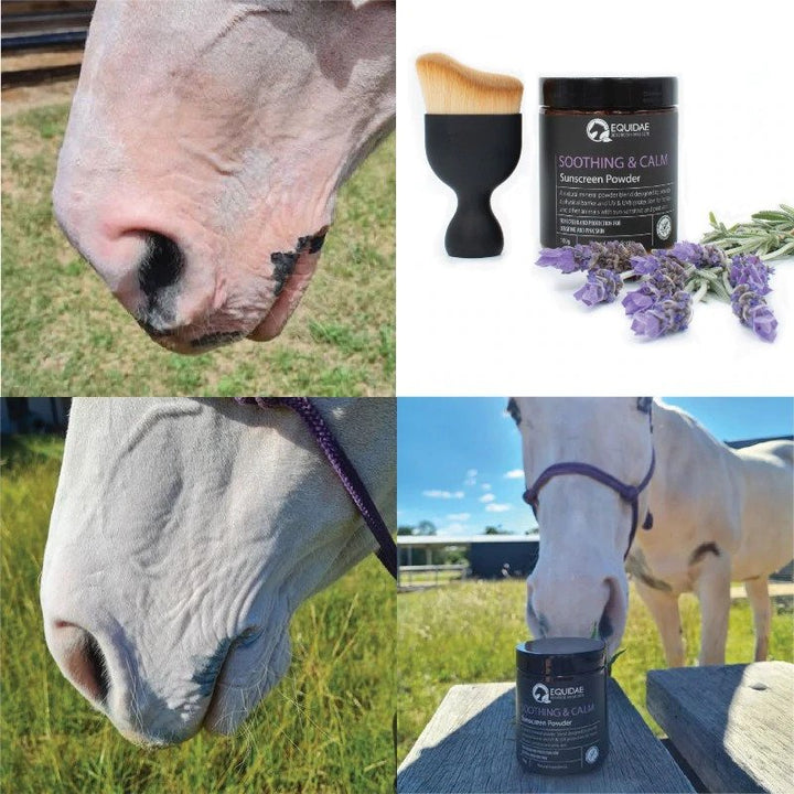 SOOTHING & CALM Horse Sunscreen Powder (Sunscreen for Horses)