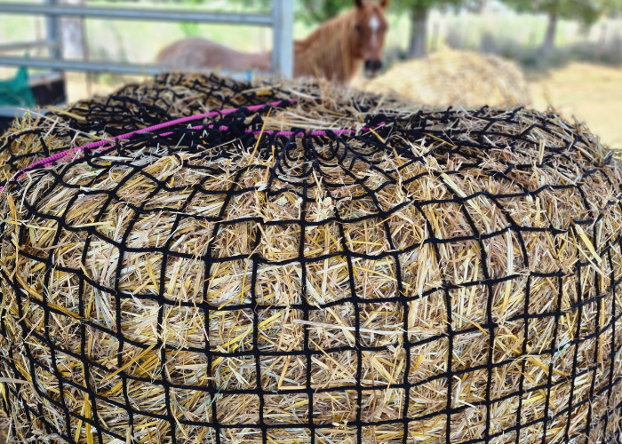 Knotless Hay Nets - 5'x4' Round Bale – GutzBusta® Slow Feed Hay Nets