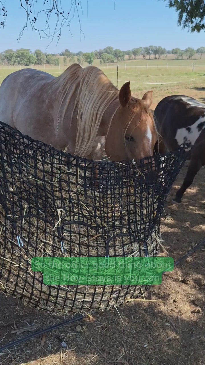 Junior Hay-Stay Hanging Knotless Hay Net – GutzBusta® Slow Feed Hay Nets