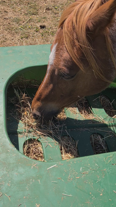 PARALLAX THE HAY SAVER- Horse Eating